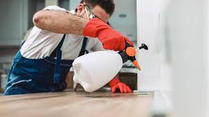 Best Residential Pest Control  in Memphis, MI